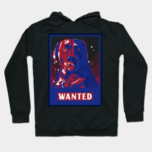 Dog Wanted Hoodie